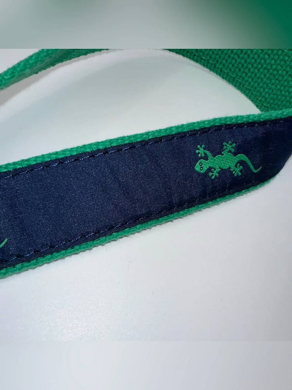 Kids Navy and Green Embroidered Canvas Belt with Brown Leather Trim